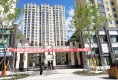 参花街3号院户型图实景图