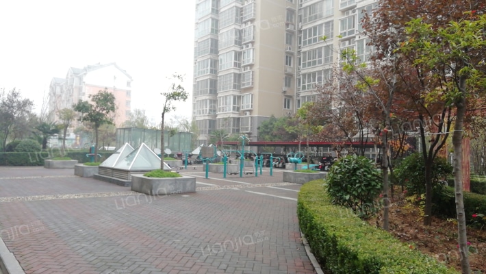 森海星园外景图