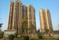 明珠花园户型图实景图
