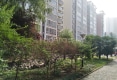 自然·康桥户型图实景图
