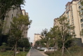 众恒翡翠城户型图实景图
