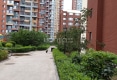 星河城户型图实景图
