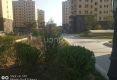 卢浮公馆户型图实景图