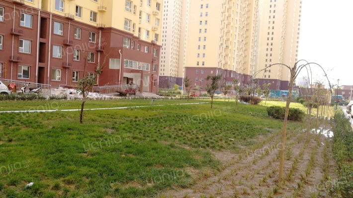 京洲幸福城外景图