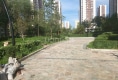 新城楓景户型图实景图