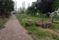 金色花园户型图实景图