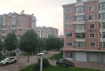 学伟绿色家园户型图实景图