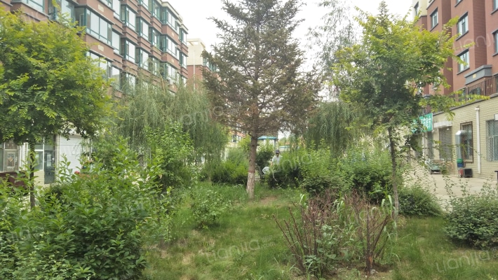 绅士名城家园二期外景图