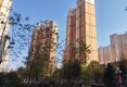 金座晟锦C区户型图实景图