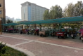 金地明珠户型图实景图