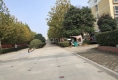 滨河公寓户型图实景图