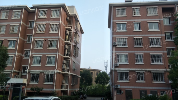 丹西安置小区外景图