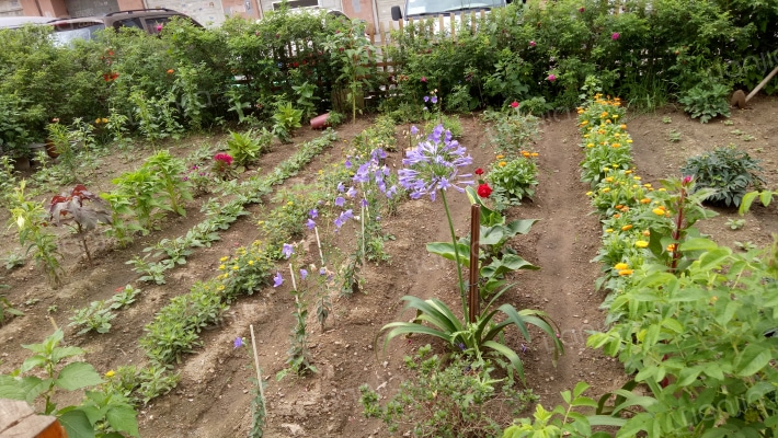 江华一区外景图