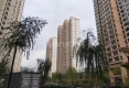 九号公馆户型图实景图