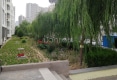神华丽苑户型图实景图