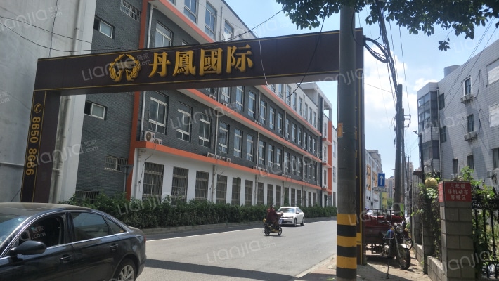 丹凤国际外景图