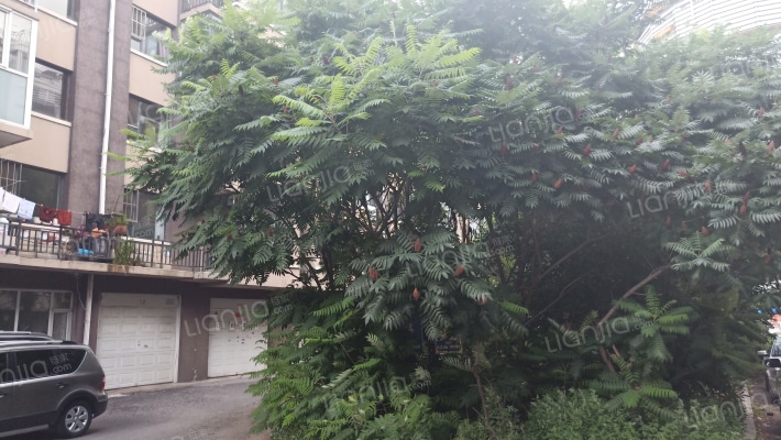 江畔小镇外景图