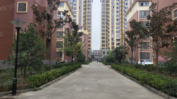 一品金洲外景图