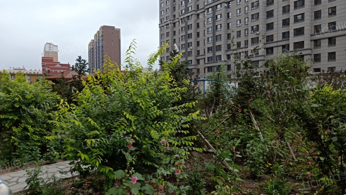 黄龙新城外景图