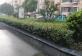 楚天小区户型图实景图