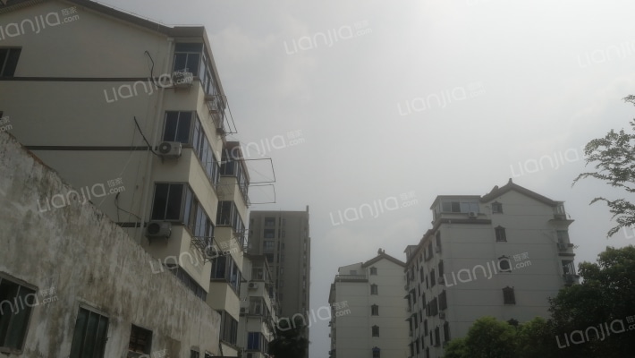 新村小区外景图