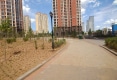 澋园户型图实景图