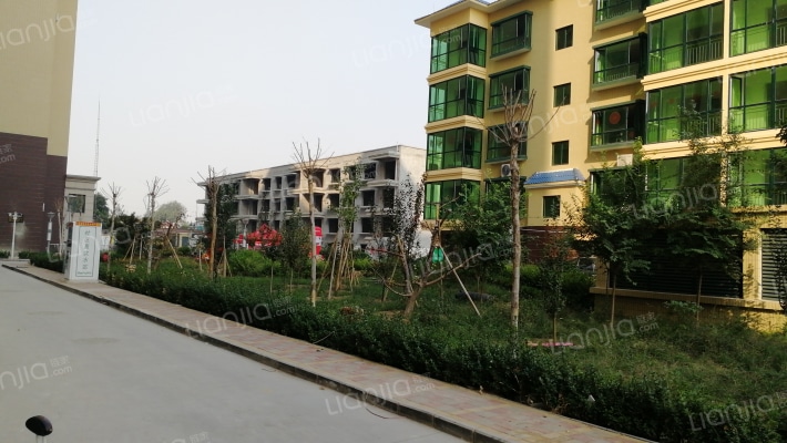 腾辉绿洲外景图