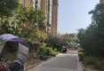 御林金湾户型图实景图