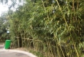 幸福公寓户型图实景图