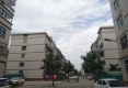 职业技术学院家属院户型图实景图
