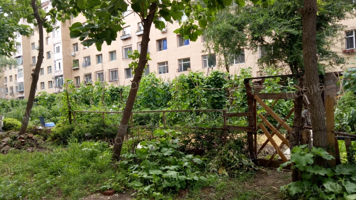 联通小区(昌邑区)外景图