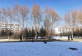 丰泽园户型图实景图