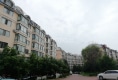 天园小区户型图实景图