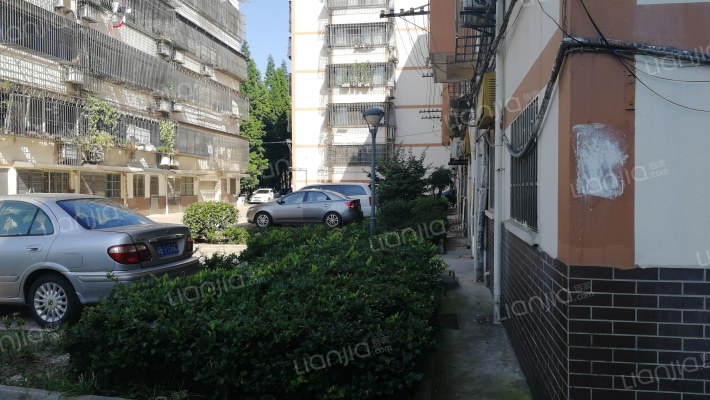 茶东社区外景图