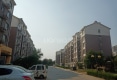鑫泉社区户型图实景图