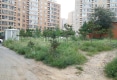 阳光新城A1区户型图实景图