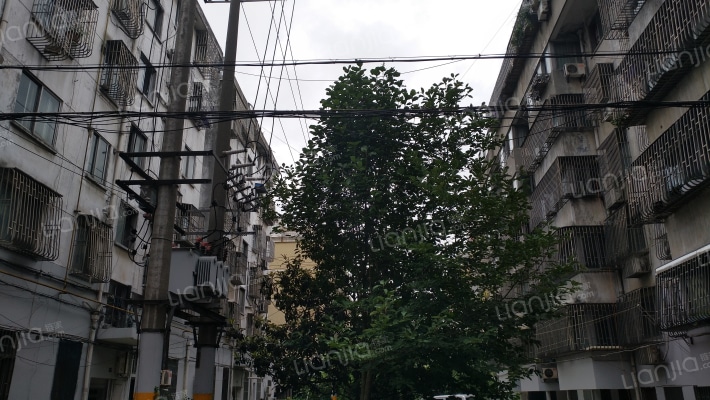 金三角新村外景图