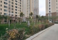 威隆太阳城户型图实景图