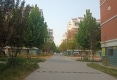 东城华府户型图实景图