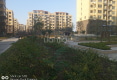 卢浮公馆户型图实景图