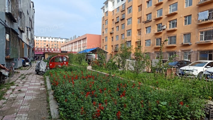 朝小小区外景图