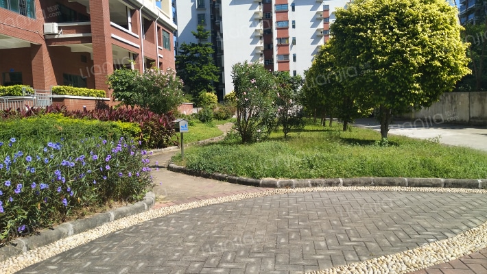 惠泽雅轩外景图