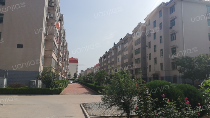 汇泉花园A区外景图