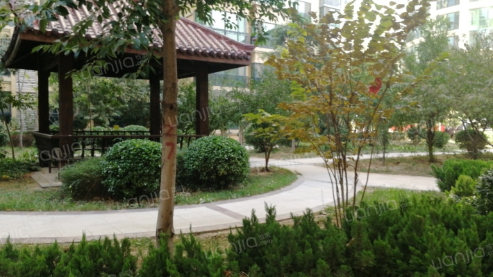 中央国际城外景图