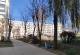 邮政小区户型图实景图