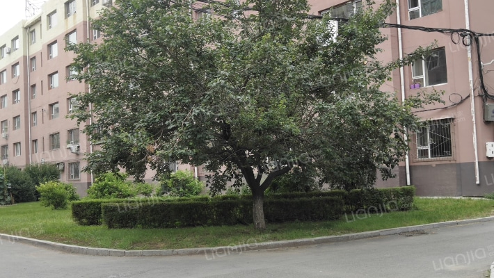 密哈小区外景图