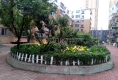 昌图小区户型图实景图