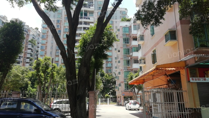 朝安东商住楼外景图