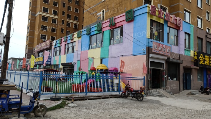 九新·雾凇水岸外景图