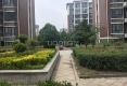天骄华府户型图实景图